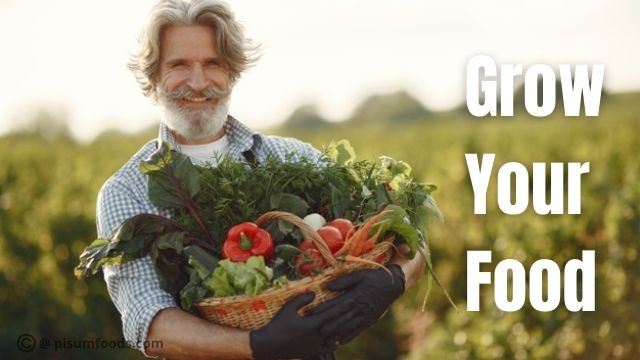 grow your food